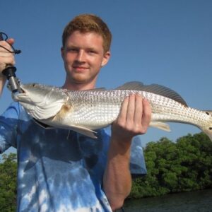 Redfish